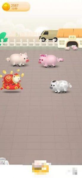 豬豬米多多