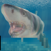 鯊魚海洋游戲