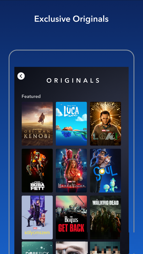 disney+電視版專業版
