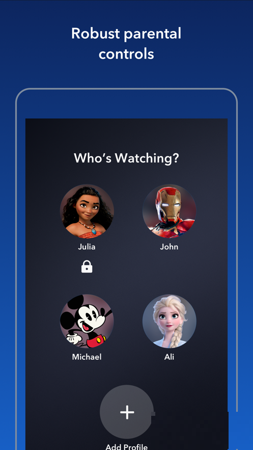 disney+電視版專業版