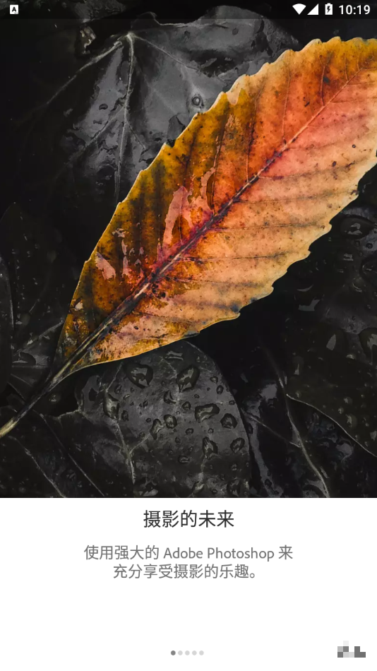 lightroom修圖軟件免費版