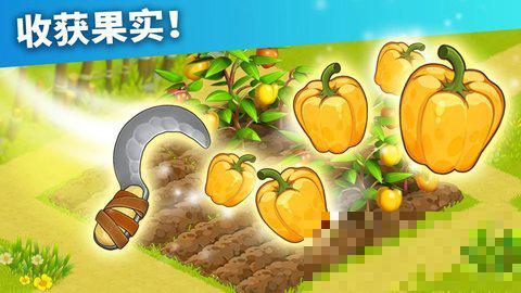 家庭島2022最新版