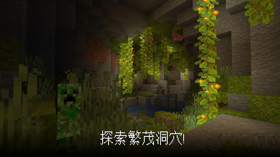 我的世界基巖版版
