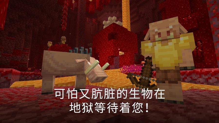 我的世界基巖版版