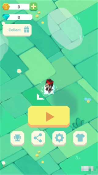 Bird Chase