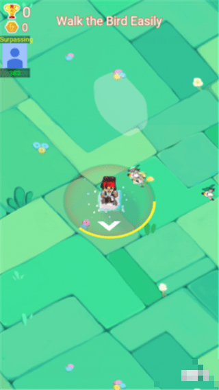 Bird Chase
