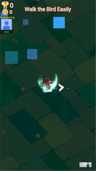 Bird Chase