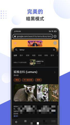 Lemur狐猴瀏覽器32位數版本